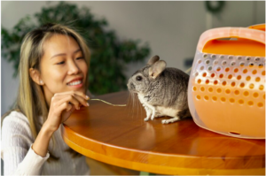 Sweet Moment: Hamster Realizes His Owner Is Back After 10 Days: So Happy