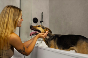 Top 10 Tips How To Save Your Pets Dental Health